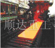 中(zhong)厚闆輥(gun)道系列(liè)